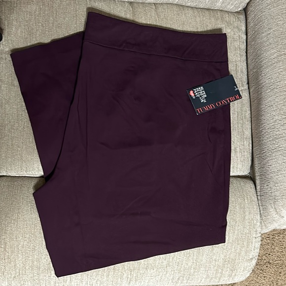 NWT Women’s Avenue pull on Stretch Pants size 24 petite - Picture 4 of 4
